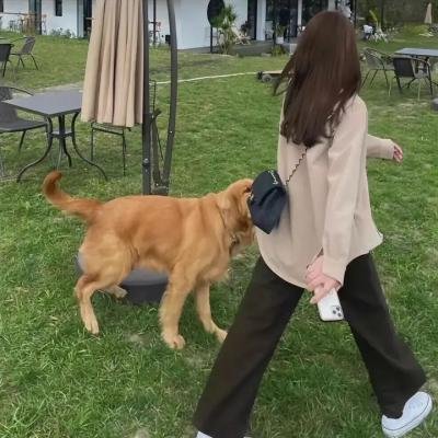 伴娘先拜堂海报