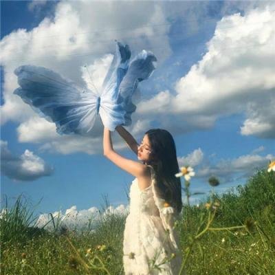 塞外奇侠海报